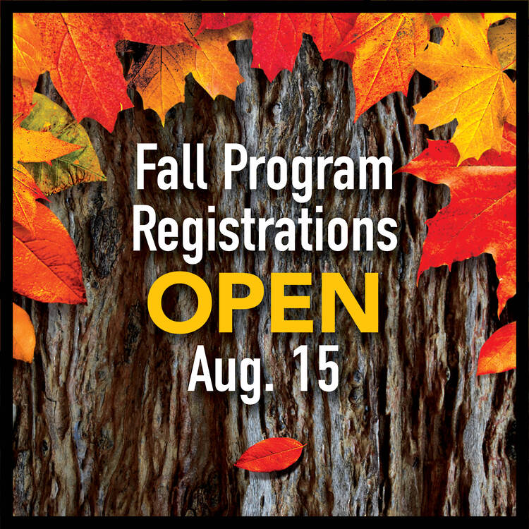 Fall leaves with words "Fall Program Registrations Open Aug. 15"